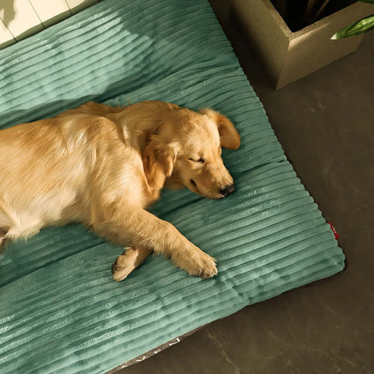 Pet Kennel Mattress