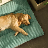 Pet Kennel Mattress