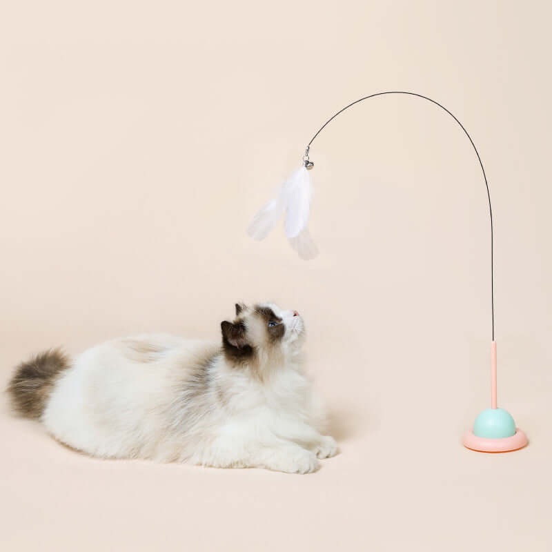 Interactive Pet Toys