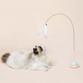 Interactive Pet Toys