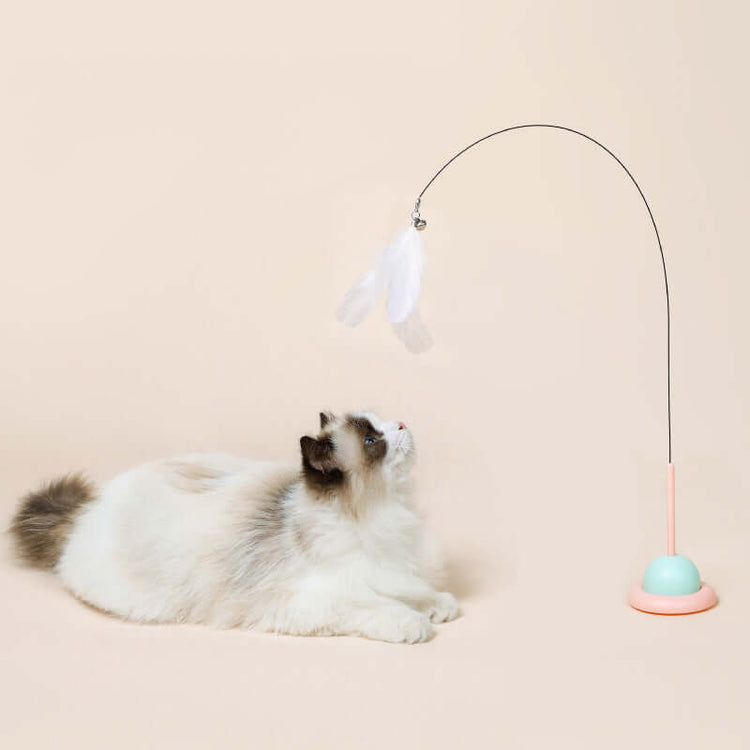 Interactive Pet Toys