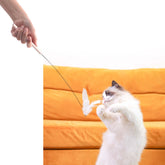 Interactive Pet Toys