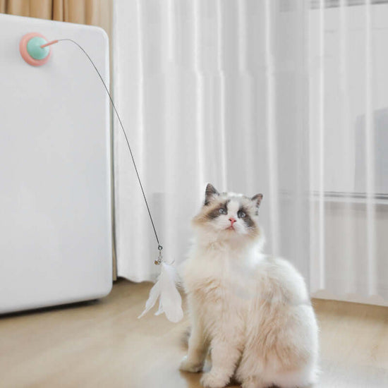 Interactive Pet Toys
